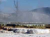 Yellowstone Mammoth Hotsprings (57).JPG